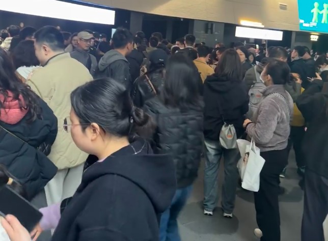 三星堆官方人工讲解实践告诉我三星堆请讲解真的很不值得，卖猪仔的感觉！！！