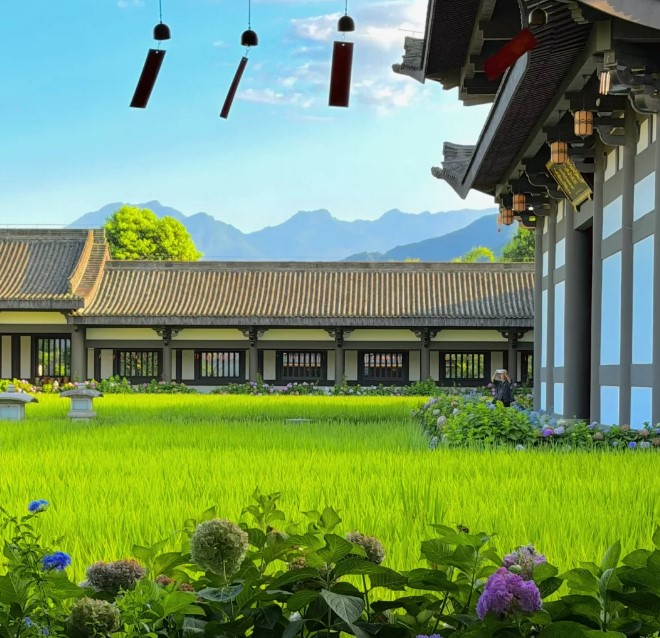 成都周边2h直达大隐隐于世的光明寺一日游！